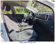 Kia Sportage 1.6 CRDi Concept 4x2 115 Weiß - thumbnail 15