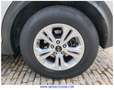 Kia Sportage 1.6 CRDi Concept 4x2 115 Weiß - thumbnail 44