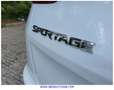 Kia Sportage 1.6 CRDi Concept 4x2 115 Weiß - thumbnail 46