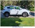 Kia Sportage 1.6 CRDi Concept 4x2 115 Weiß - thumbnail 4