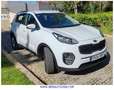 Kia Sportage 1.6 CRDi Concept 4x2 115 Weiß - thumbnail 3