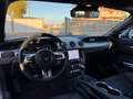 Ford Mustang Mustang Fastback 5.0 ti-vct V8 GT 450cv auto my20 Gris - thumbnail 7