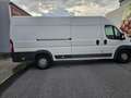 Peugeot Boxer Boxer Luxusbus 3000 L1H1 2,0 BlueHDi Luxusbus Weiß - thumbnail 7