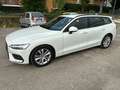 Volvo V60 V60 2.0 d3 Business geartronic my20 Weiß - thumbnail 1