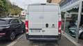 Fiat Ducato 33 2.2 Mjt 120CV PM-TM Furgone IVA Bianco - thumbnail 3