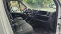 Fiat Ducato 33 2.2 Mjt 120CV PM-TM Furgone IVA Bianco - thumbnail 8