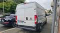 Fiat Ducato 33 2.2 Mjt 120CV PM-TM Furgone IVA Bianco - thumbnail 2