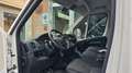 Fiat Ducato 33 2.2 Mjt 120CV PM-TM Furgone IVA Bianco - thumbnail 5