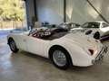 MG MGA 1500 Roadster MKI White - thumbnail 12