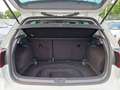 Volkswagen Golf VII Trendline BMT 1.2 TSI Sitzh. PDC White - thumbnail 13