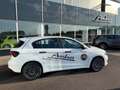 Fiat Tipo FireFly Turbo 100 Weiß - thumbnail 3