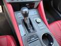 Lexus RC F Advantage *V8-Sauger*BREMBO*ACC*M Levinson* Gris - thumbnail 28