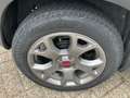 Fiat Panda 1.0 Hybrid Cross 69pk | Climate | 4 seizoensbanden Bianco - thumbnail 5