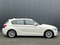BMW 116 116d 2e eigenaar H/K Navi Leder Sportstoel Xenon M Wit - thumbnail 2