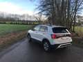 Volkswagen T-Cross 1.0 TSI DSG GOAL,Bester Preis im Netz! Gris - thumbnail 21