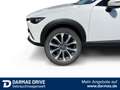 Mazda CX-3 CX-3 2,0 Advantage S+S PDC Tempomat Weiß - thumbnail 13
