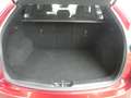 Mazda CX-5 CX-5 2.2 Signature awd 184cv auto my19 Rosso - thumbnail 7