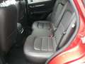 Mazda CX-5 CX-5 2.2 Signature awd 184cv auto my19 Rosso - thumbnail 9