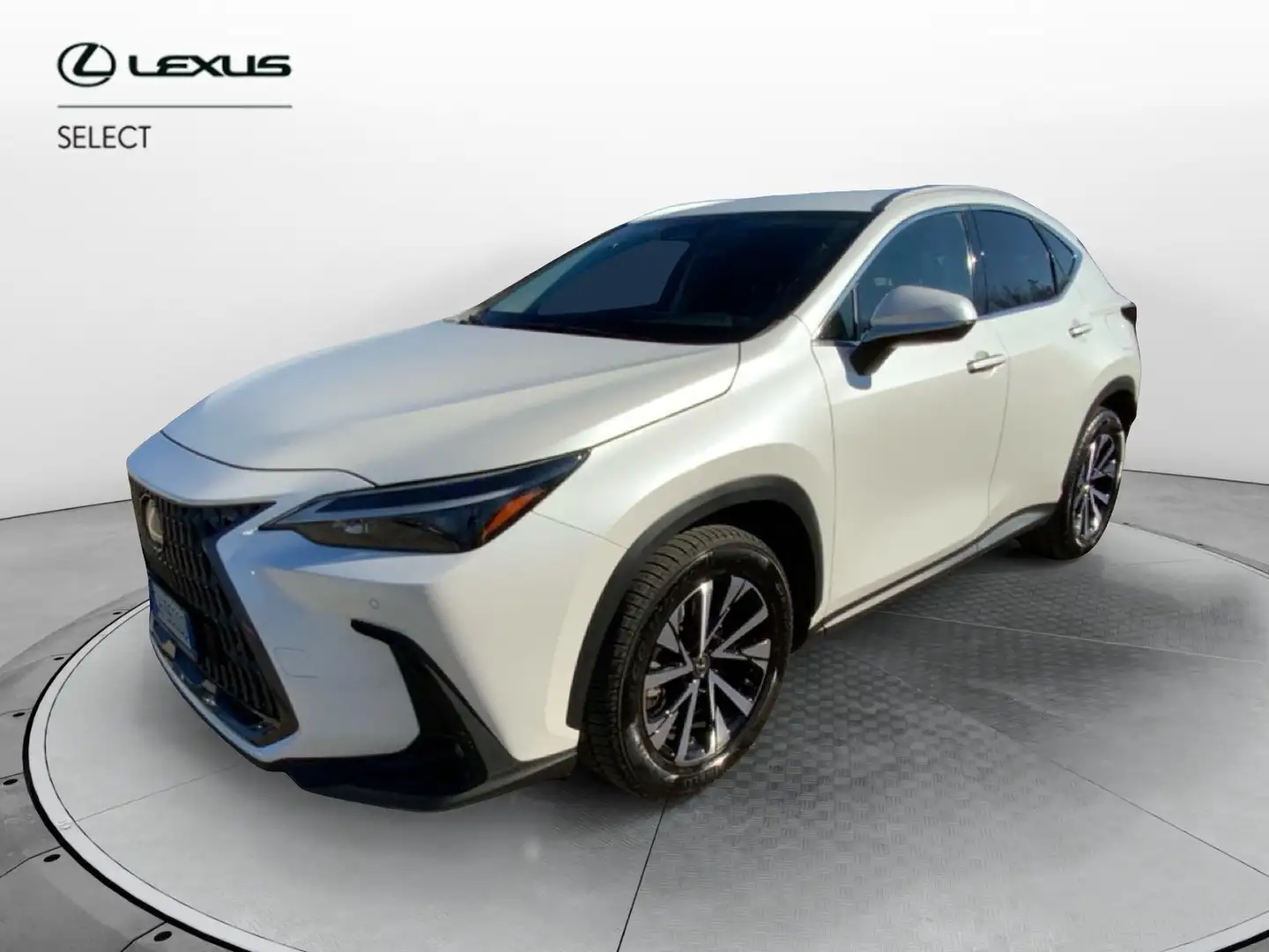 Lexus NX 300 2ª serie Plug-in 4WD Premium Blanc - 1
