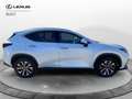 Lexus NX 300 2ª serie Plug-in 4WD Premium Blanc - thumbnail 14