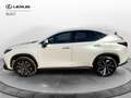 Lexus NX 300 2ª serie Plug-in 4WD Premium Blanc - thumbnail 3
