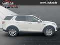 Land Rover Discovery Sport El. Fondsitzverst*El. Panodach*Navi*Leder*digitale Weiß - thumbnail 6