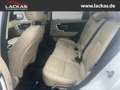 Land Rover Discovery Sport El. Fondsitzverst*El. Panodach*Navi*Leder*digitale Weiß - thumbnail 16