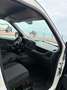 Fiat Doblo Dobló Chasis Plancher 1.3Mjt Base Blanco - thumbnail 8
