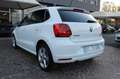 Volkswagen Polo 1.4 TDI 90CV DSG 5p Highline Blanc - thumbnail 13