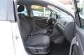 Volkswagen Polo 1.4 TDI 90CV DSG 5p Highline Blanc - thumbnail 12