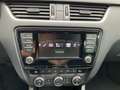 Skoda Octavia Combi Joy Green 1.0 TSI DCT7 Klima SHZG Tempomat Weiß - thumbnail 11