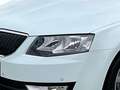 Skoda Octavia Combi Joy Green 1.0 TSI DCT7 Klima SHZG Tempomat Weiß - thumbnail 7