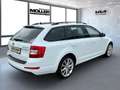 Skoda Octavia Combi Joy Green 1.0 TSI DCT7 Klima SHZG Tempomat Weiß - thumbnail 5