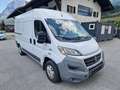 Fiat Ducato 130 L2H2 RS: 3450 mm Weiß - thumbnail 3