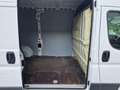 Fiat Ducato 130 L2H2 RS: 3450 mm Weiß - thumbnail 10