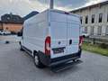 Fiat Ducato 130 L2H2 RS: 3450 mm Weiß - thumbnail 5