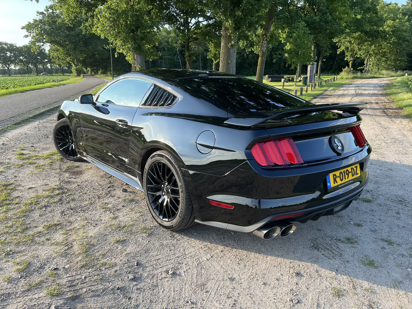 Ford Mustang 5.0 Ti-VCT V8 GT - 2