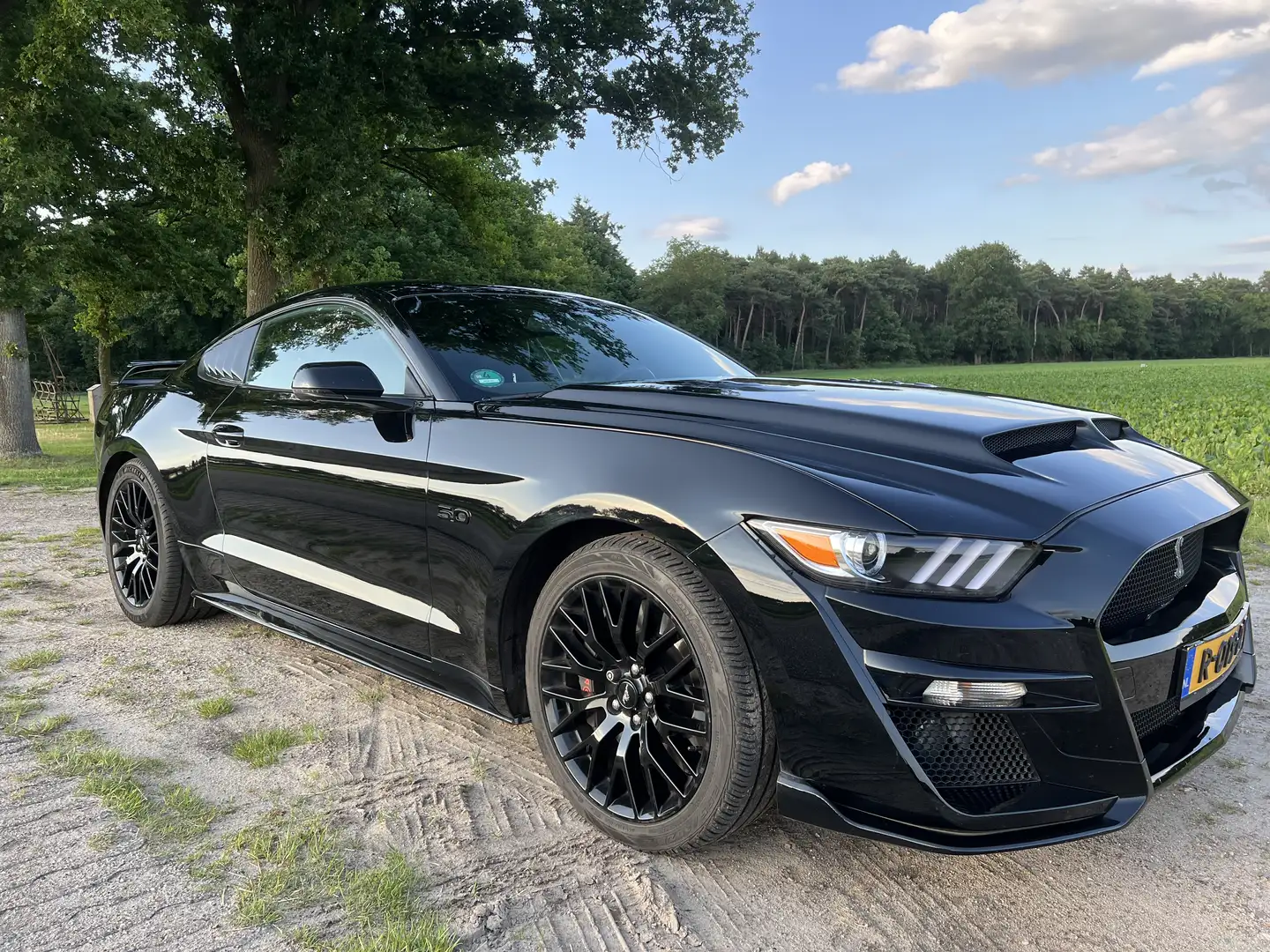 Ford Mustang 5.0 Ti-VCT V8 GT - 1