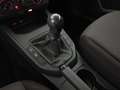 SEAT Ibiza 1.0 tgi reference 90cv Bianco - thumbnail 14