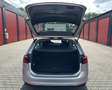 Volkswagen Passat Variant Business Grau - thumbnail 13