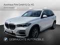 BMW X5 xDrive30d (ab 2017) xLine Head-Up HK HiFi Wit - thumbnail 1