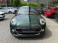 MINI Cooper 5-trg.Aut.|T.LEDER|NAVI|PANO|LED| Grün - thumbnail 2