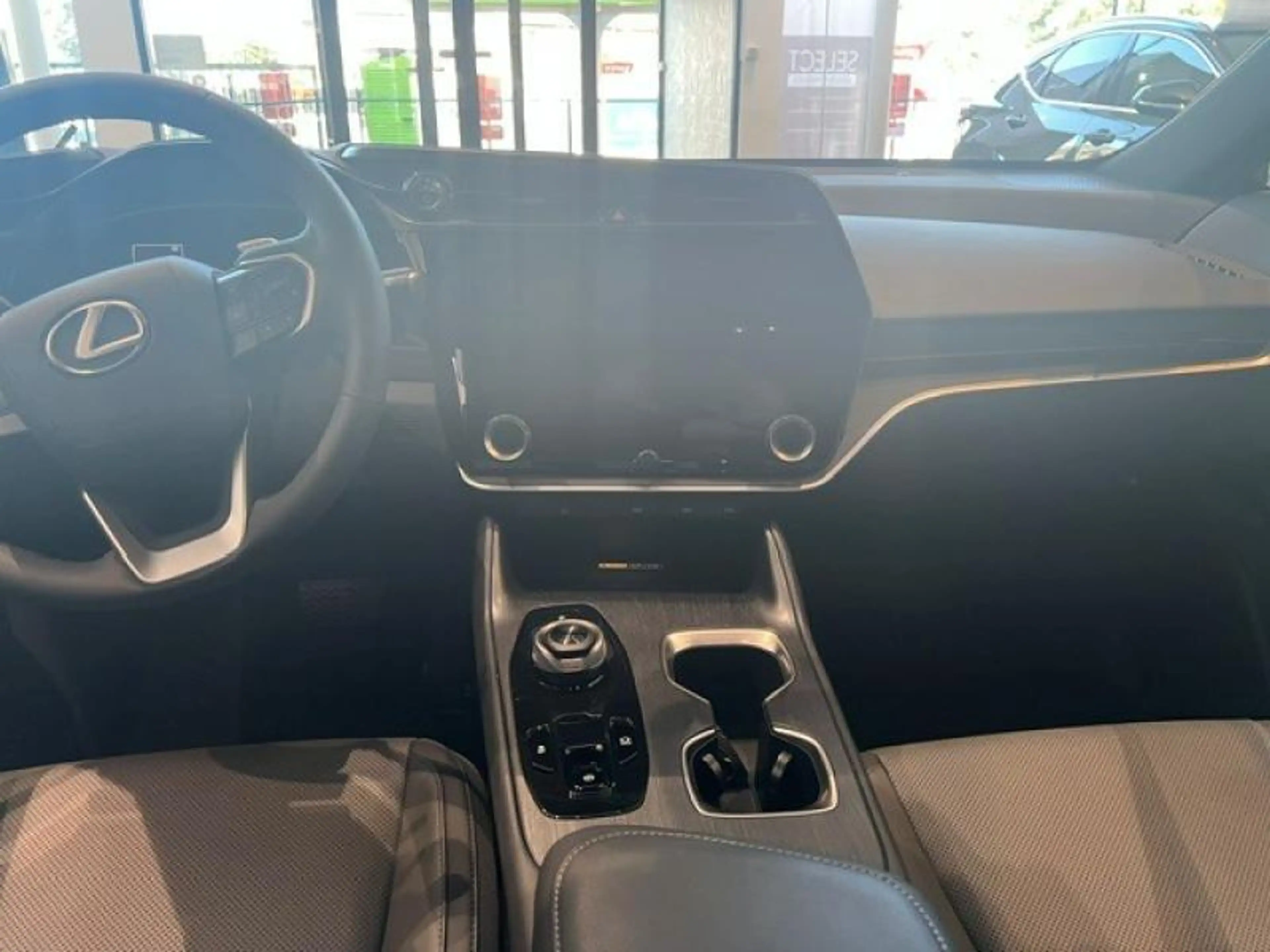 Lexus RZ Executive Line — photo 8