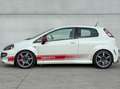 Abarth Punto EVO PUNTO 1.4 MULTIAIR Білий - thumbnail 4