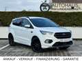 Ford Kuga ST-Line*47.000KM*R-KAM*LED*NAVI*SHZ*LHZ Blanc - thumbnail 3