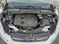 Ford C-Max Trend Weiß - thumbnail 14