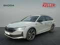 Skoda Octavia Combi 2.0 TSI 150 kW 4x4 Sportline Gris - thumbnail 1