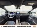 Ford Kuga 2.5 full hybrid st-line x 2wd 190cv cvt Gris - thumbnail 11
