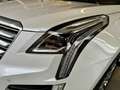 Cadillac XT5 3.6 V6 Premium 4wd auto Bianco - thumbnail 8