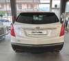 Cadillac XT5 3.6 V6 Premium 4wd auto Weiß - thumbnail 4